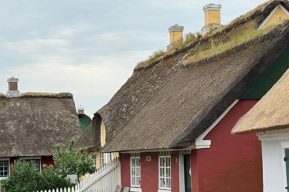 Velkommen til Stråtags-Info, tækkebranchens nye website