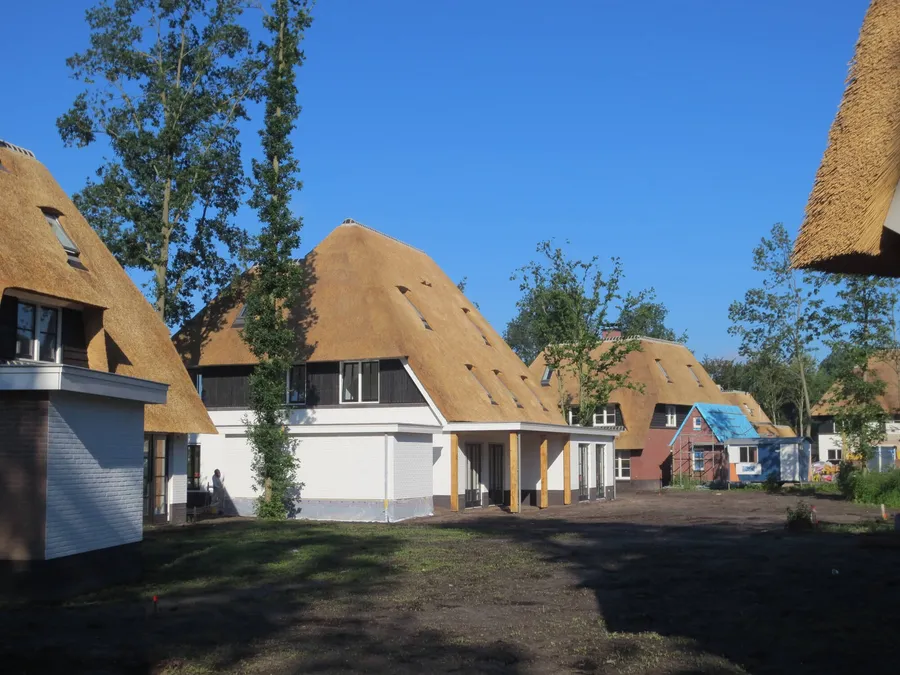 Moderne parcelhuse med stråtag